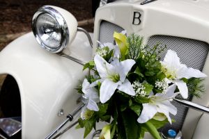 diana lee wedding 50 sm.jpg